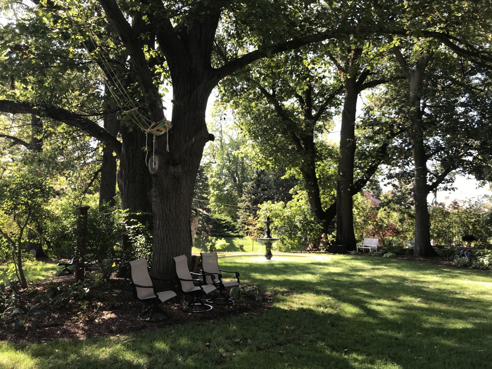 The yard